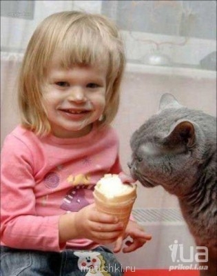 Кто там любит кошек? - 548556_8.jpg