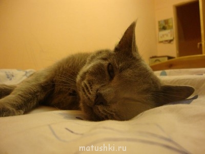 Вечерний отдых. Ночью еще карандаши катать...