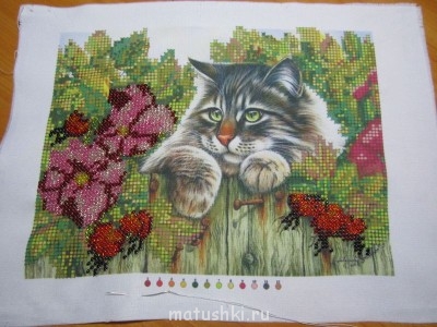 Начала с нуля