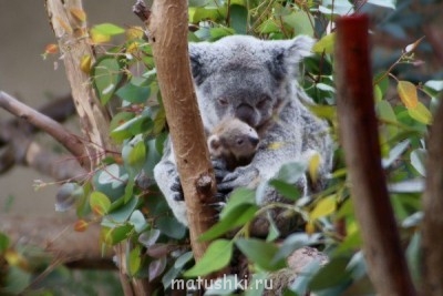 Капельки добра - d34iT2T-aas.jpg