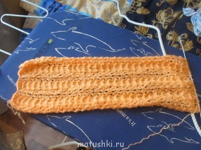 Быстрее моли-2 - IMG_2394.JPG