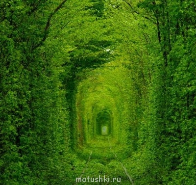 Для поднятия настроения  - 568x379.jpg