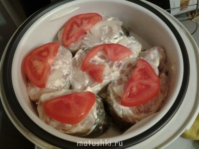Кусочки рыбы посолить,обмазать майонезом и сложить на мультиварную решетку.