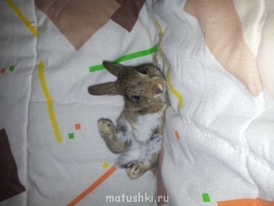 Кролики - 20130506_143309.jpg