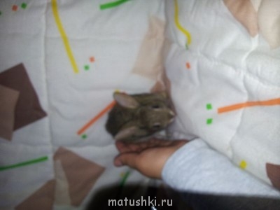 Кролики - 20130506_143253.jpg