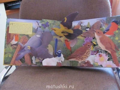 Пасхальный сюрприз - документы 557.jpg