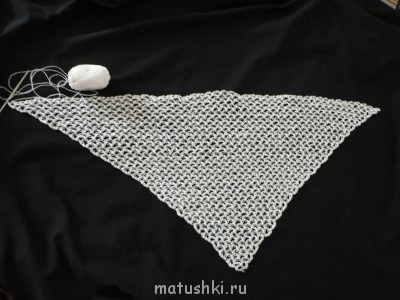 Быстрее моли-2 - P1140226.JPG