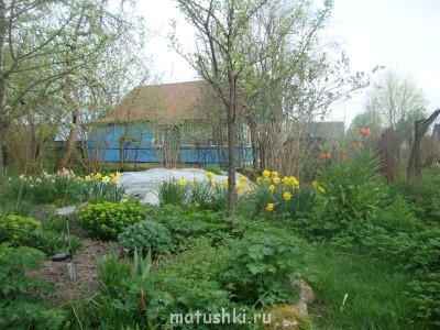 Мой маленький дворик. - DSC01962.JPG