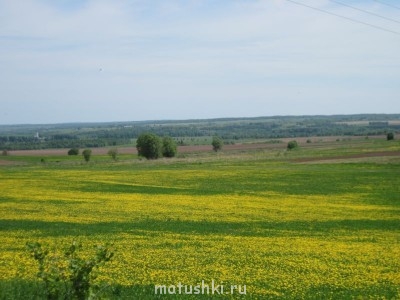 Наша дача - IMG_6083.jpg