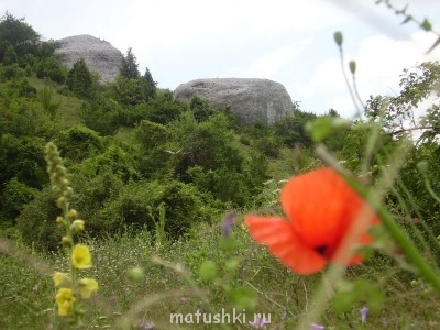 Пешие походы - P1010165.JPG