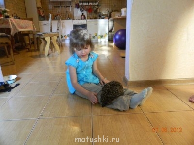 Они прекрасны и удивительны Из жизни животных. - DSCN5025.JPG