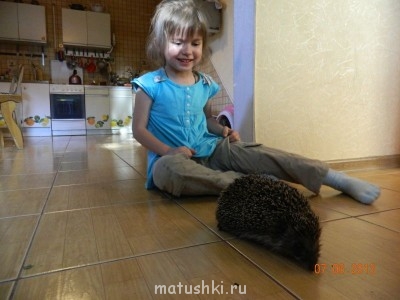 Они прекрасны и удивительны Из жизни животных. - DSCN5030.JPG