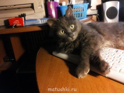 Кто там любит кошек? - 20130607_001114.jpg