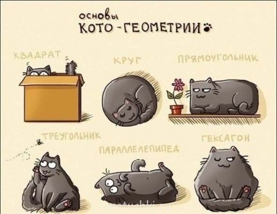 Кто там любит кошек? - uDOuAQVNv2Y.jpg