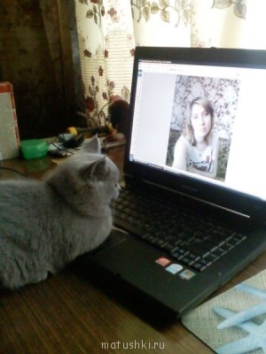 Кто там любит кошек? - 20090824134522.jpg