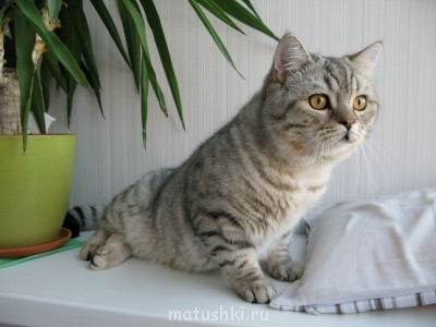 О!! Близко подлетела!!