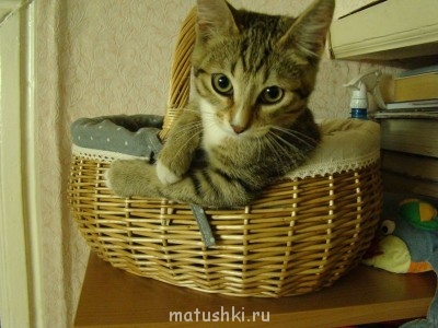 эт он в молодости