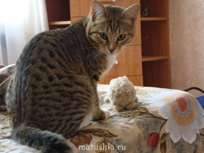 это сейчас. Ему два года только.