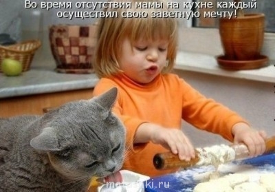 Кто там любит кошек? - Sq0DHSocZKo.jpg