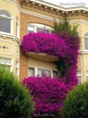 Флудилки-2 - kdzqx58BZOw.jpg