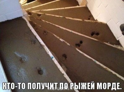 Кто там любит кошек? - cY1cQLIU1GI.jpg