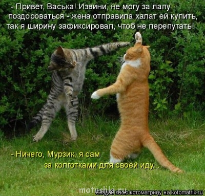 А это так, из котоматрицы :)