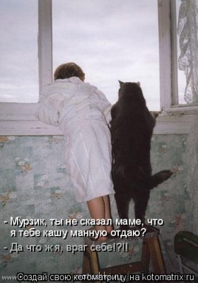 Кто там любит кошек? - 9T.jpg
