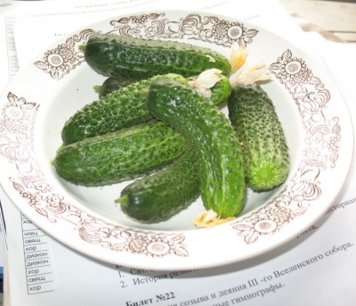 Re: Шьём, марки собираем, гвозди забиваем: автор - МатьМаш - огурцы.jpg