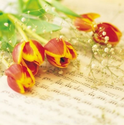 Наши форумские ветераны клироса - 1000120.jpg