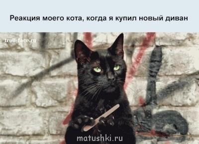 Кто там любит кошек? - mWGRS3xI3xs.jpg