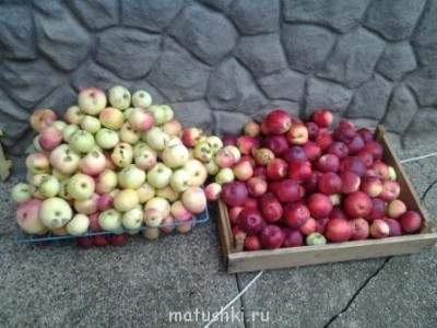 Наша дача - 20130920_101931_1.jpg