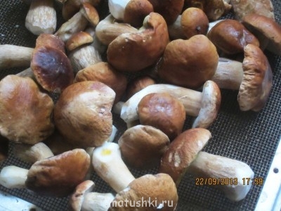 Кухонные разговоры флудим ТУТ -1 - б.jpg