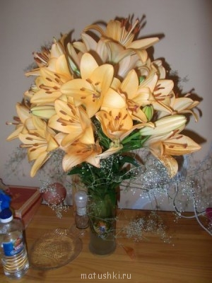 Это одна ветка лилии