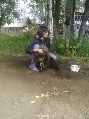 Они прекрасны и удивительны Из жизни животных. - Изображение 2553.jpg