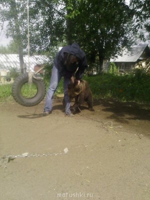 Они прекрасны и удивительны Из жизни животных. - Изображение 2556.jpg