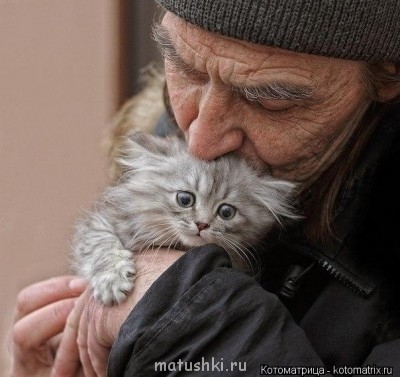 Кто там любит кошек? - index1.php.jpg