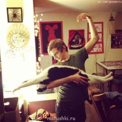 Кто там любит кошек? - _Z8K_w68SFE.jpg