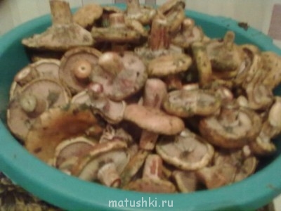 Кухонные разговоры флудим ТУТ -1 - Ew0j4OnD2Kg.jpg