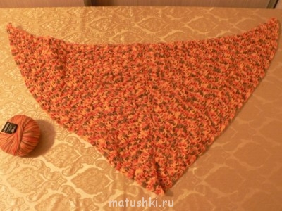 Быстрее моли-3 - P1140507.JPG