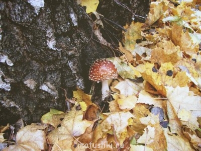 Красота мира - отражение Бога - jZmM3zYxd0g.jpg