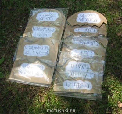 Фотовыставка ко дню рождения форума - IMG_4291.JPG