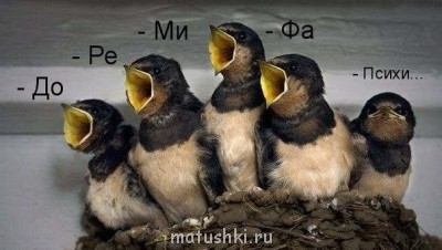 ВесЁлыЕ кАртинКи про нОтки, МУзыКу и т.п. - x_7b0841dd.jpg