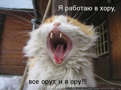 ВесЁлыЕ кАртинКи про нОтки, МУзыКу и т.п. - Mj_p3puQwiU.jpg