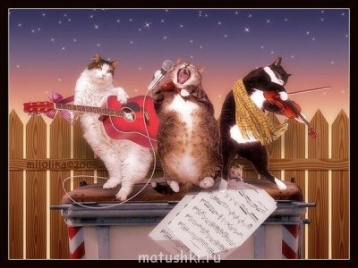 ВесЁлыЕ кАртинКи про нОтки, МУзыКу и т.п. - 81215652_large_3733.jpg