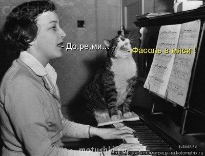 ВесЁлыЕ кАртинКи про нОтки, МУзыКу и т.п. - 1261166734_436388.jpg