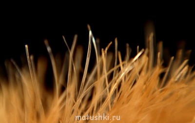 Фотозагадки - 1356630331.jpg