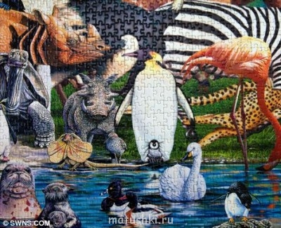 Фотозагадки - 141.jpg