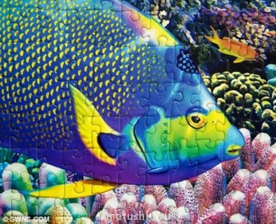 Фотозагадки - 142.jpg