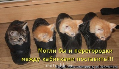 Кто там любит кошек? - UPWFsFtJyEo.jpg