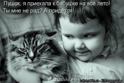 Кто там любит кошек? - -J.jpg
